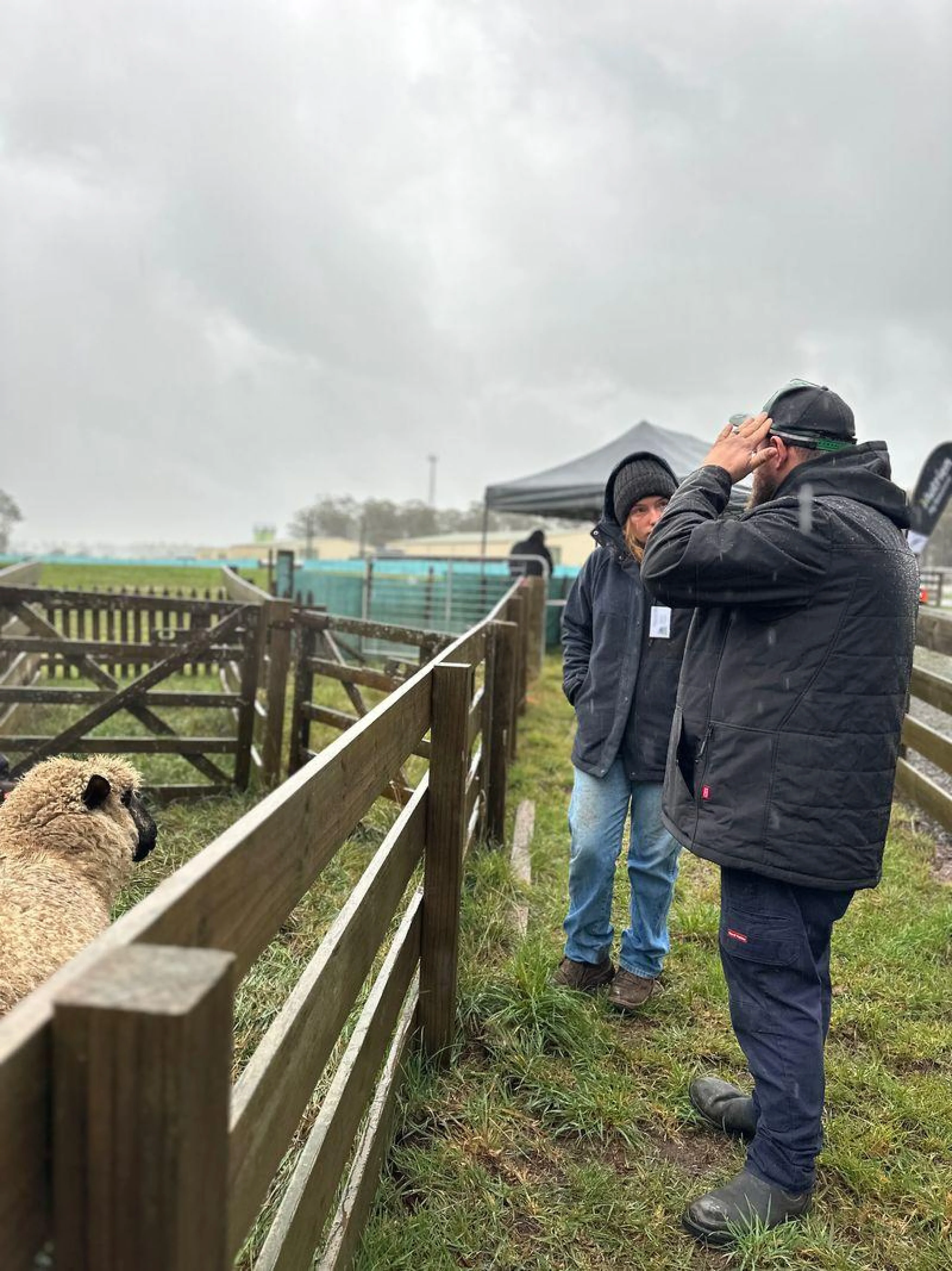 2025 Media Release Photo Livestock Health Module