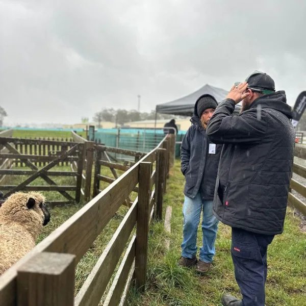 2025 Media Release Photo Livestock Health Module