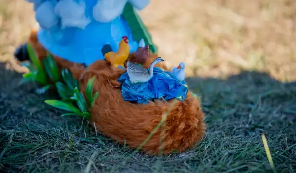 HQ Agfest Day 2 Online Posts 3 5 24 27